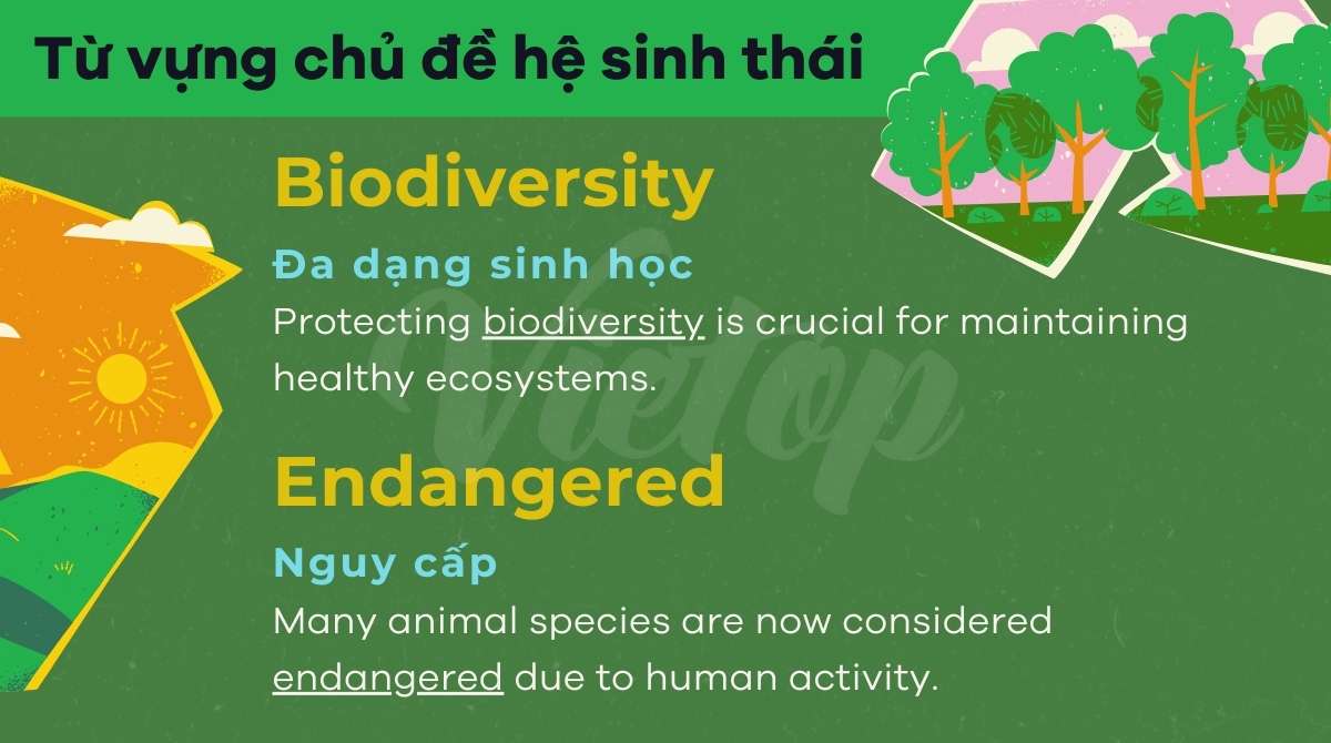 J88a1 tỷ lệ kèo World Cup 2026 IELTS Writing Task 2 chủ đề environment
