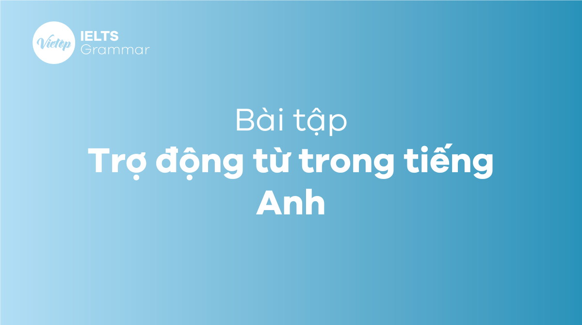 Trợ động từ trong tiếng Anh