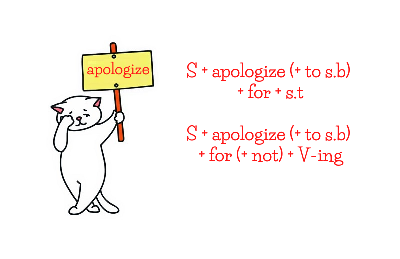 Cấu trúc Apologize