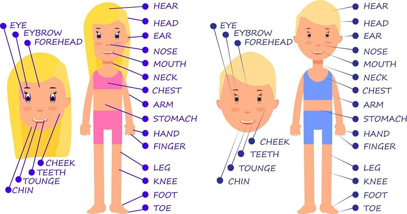 J88dl Trang Chính Thức J88 về cơ thể