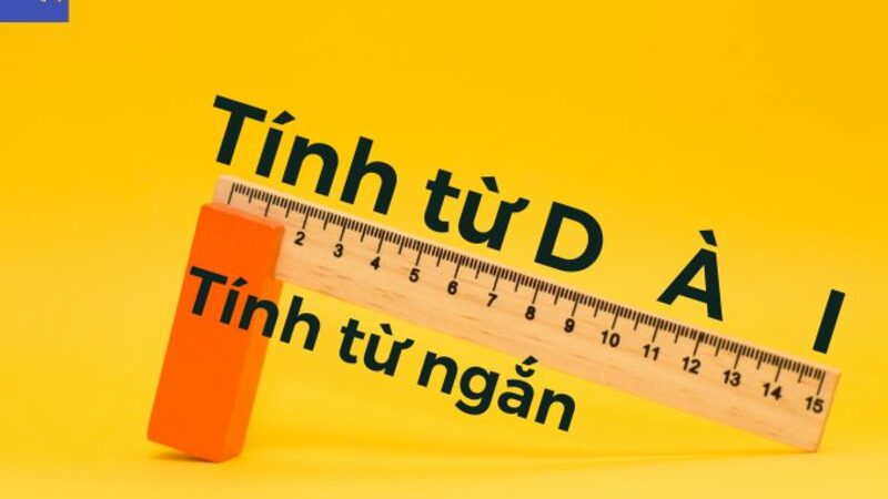 Cách sử dụng tính từ dài trong J88DL Trang chính thức J88 hỗ Chí Minh