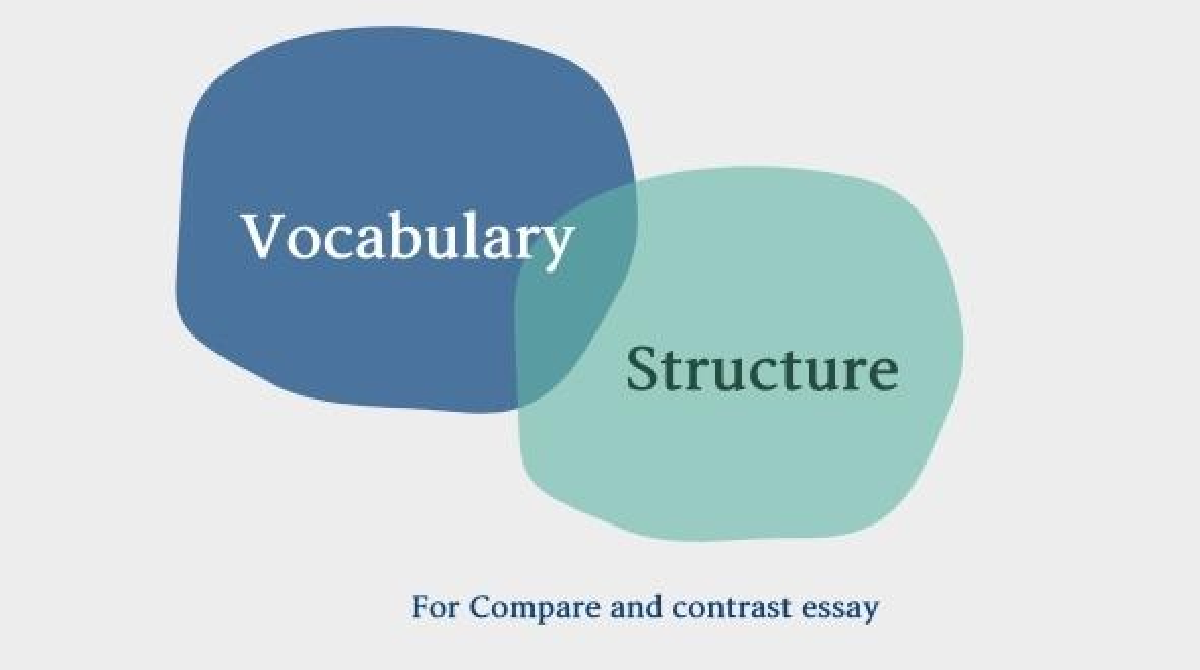 Các J88a1 tỷ lệ kèo World Cup 2026 và cấu trúc thường dùng trong Compare and Contrast Essay