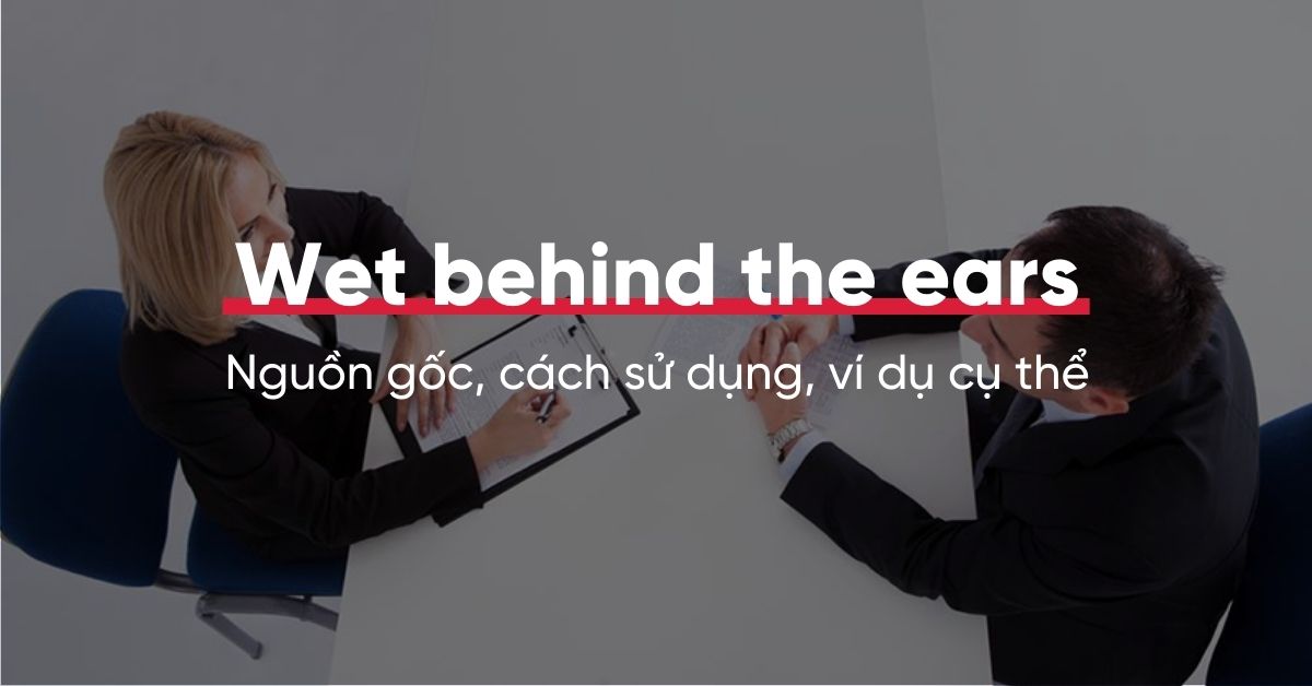 Những cụm từ đồng nghĩa với wet behind the ears trong J88DL Trang chính thức J88 hỗ Chí Minh