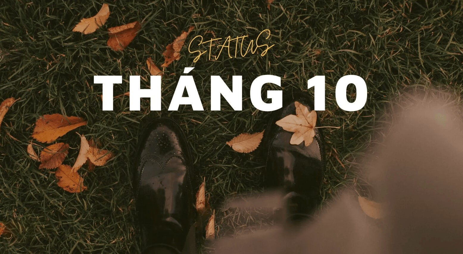 Một số câu nói hay về tháng 10 October trong J88DL Trang chính thức J88 hỗ Chí Minh