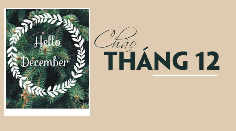 Tổng hợp các câu chào tháng 12 December hay bằng J88DL Trang chính thức J88 hỗ Chí Minh