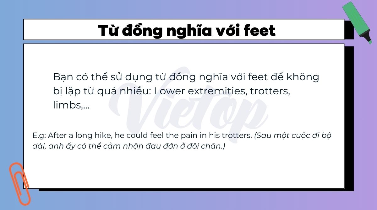 Từ đồng nghĩa với feet trong J88DL Trang chính thức J88 hỗ Chí Minh