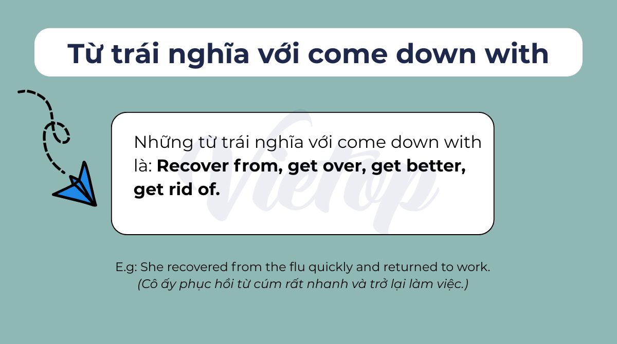 Từ trái nghĩa với come down with trong J88DL Trang chính thức J88 hỗ Chí Minh