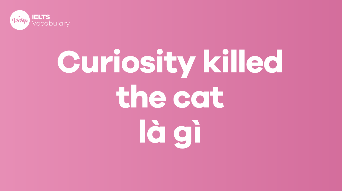 Curiosity killed the cat là gì Áp dụng trong J88a1 cá cược trực tuyến