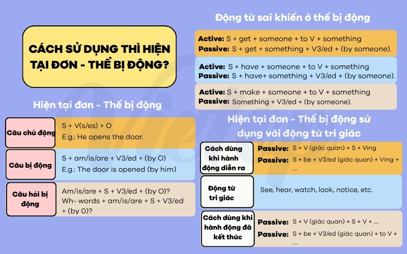 Lý thuyết câu bị động thì hiện tại đơn