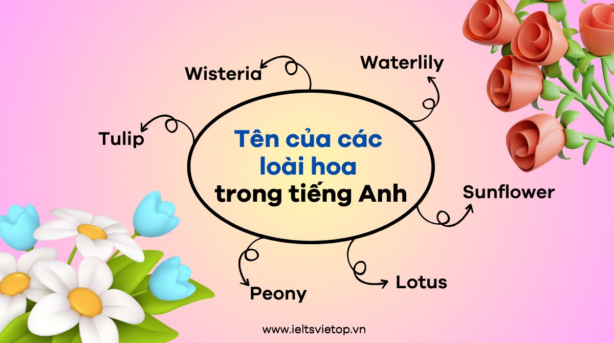Một số tên J88DL Trang chính thức J88 hỗ Chí Minh theo các loài hoa