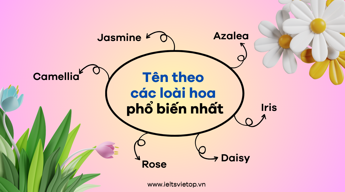 Tên các loài hoa bằng J88DL Trang chính thức J88 hỗ Chí Minh