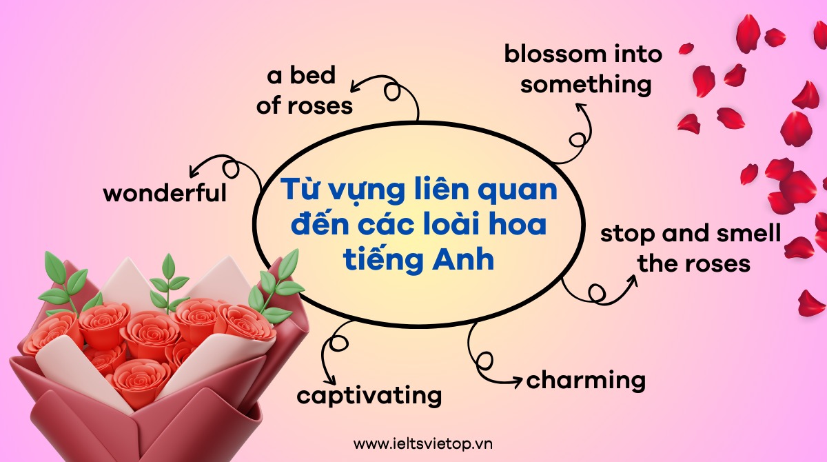 J88dl Trang Chính Thức J88 liên quan đến các loài hoa