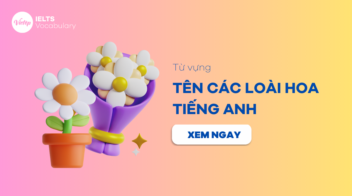 Tên các loài hoa bằng J88DL Trang chính thức J88 hỗ Chí Minh