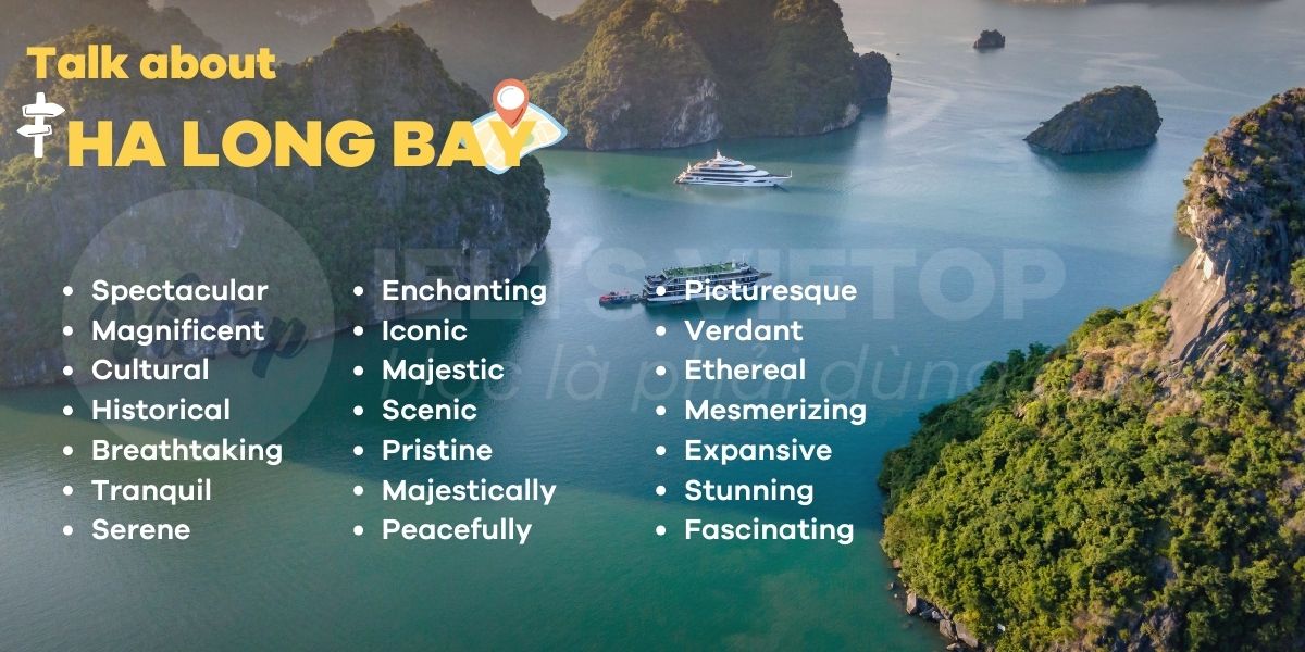 J88dl Trang Chính Thức J88 talk about ha long bay