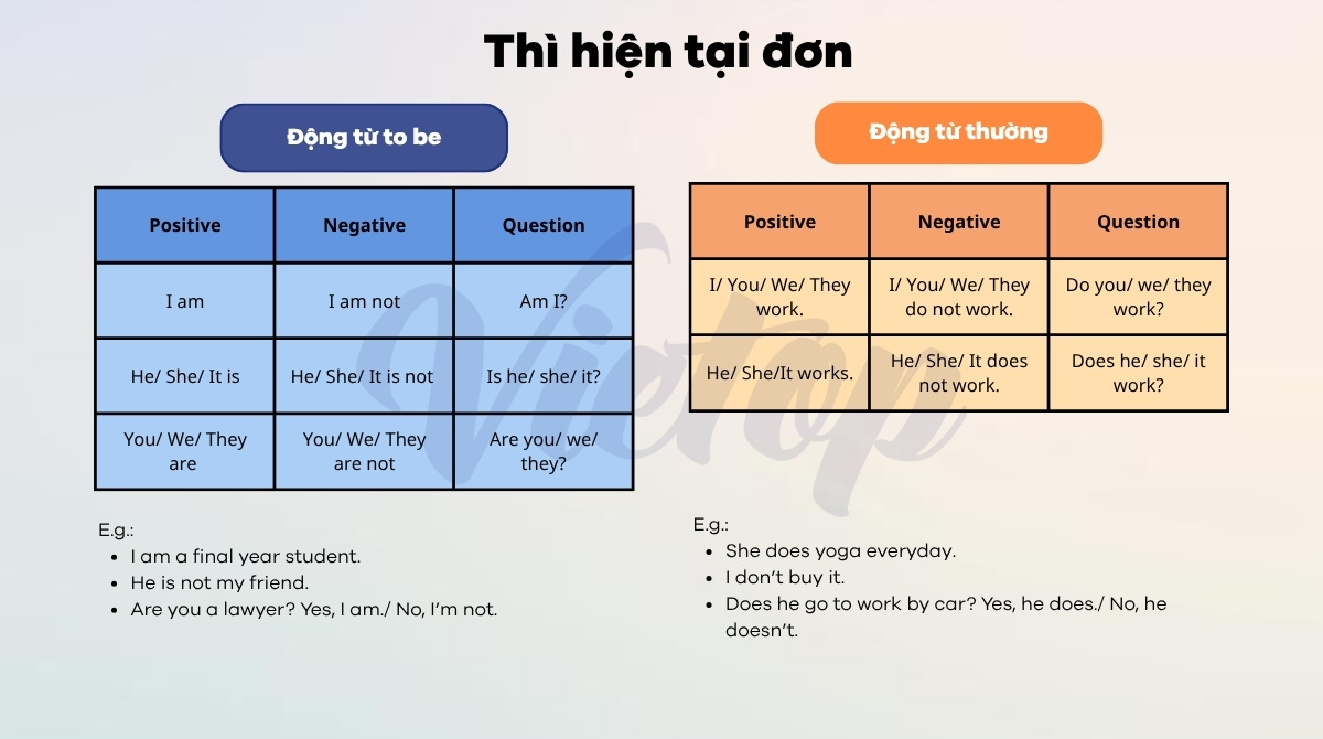 Cách chia động từ thì hiện tại đơn