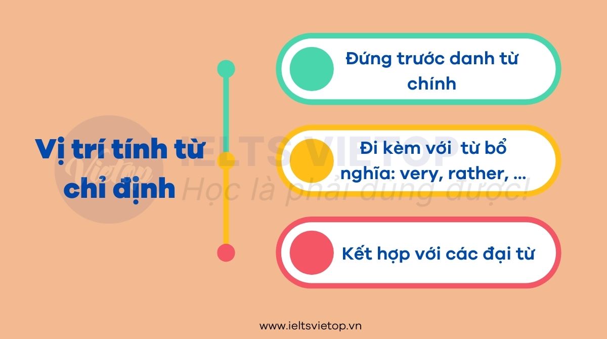 Vị trí của tính từ chỉ định trong J88DL Trang chính thức J88 hỗ Chí Minh