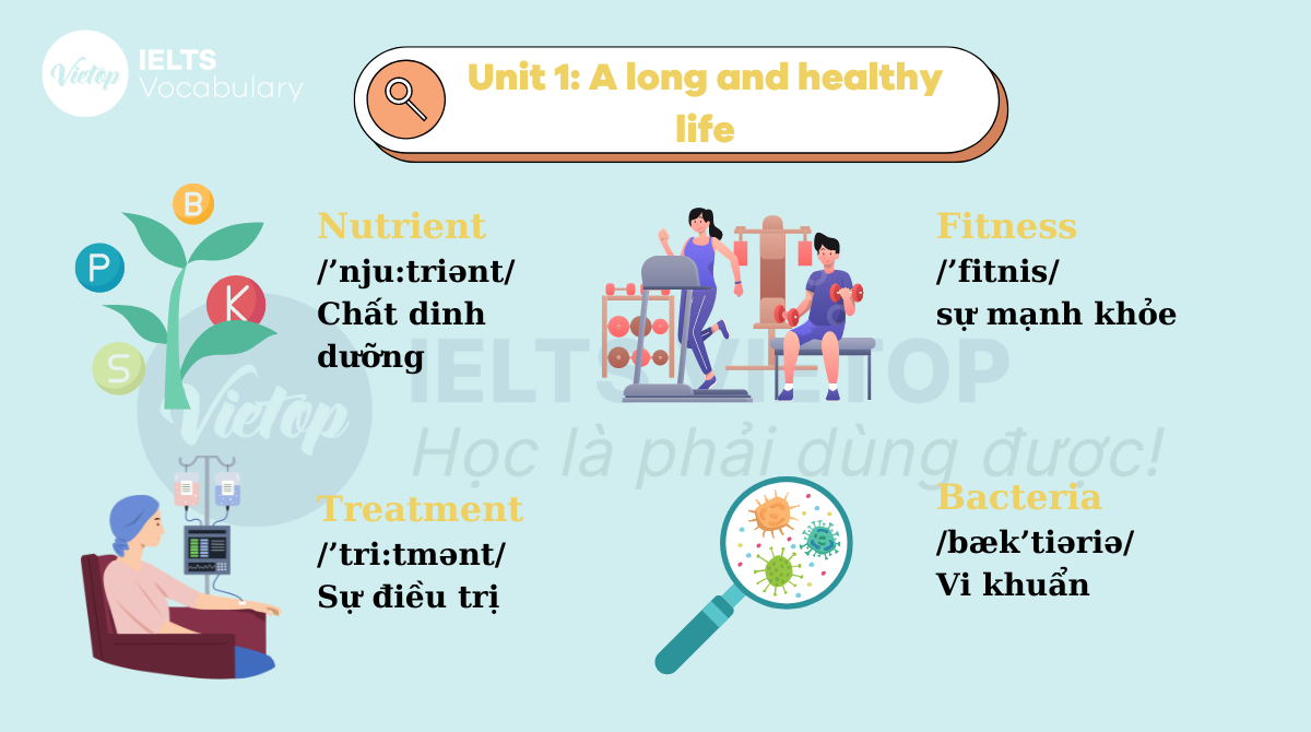 J88dl Trang Chính Thức J88 tiếng anh lớp 11