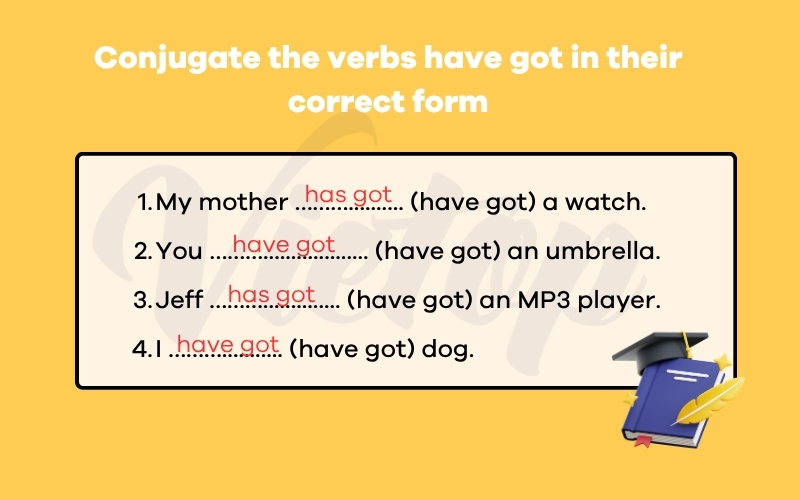 Conjugate the verbs have got in their correct form
