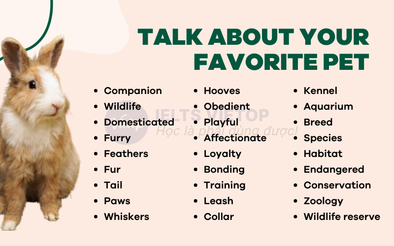J88dl Trang Chính Thức J88 cho chủ đề talk about your favorite pet