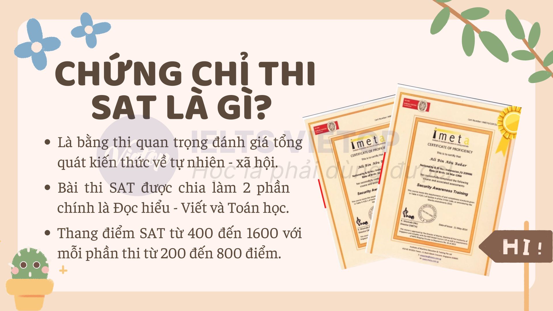 Các thông tin thú vị về kỳ thi SAT là gì?