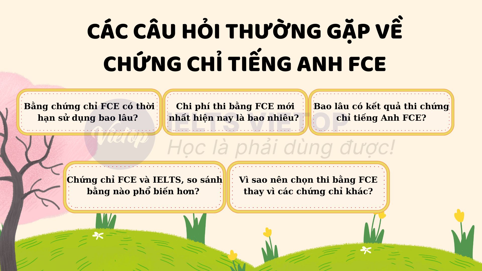 Cập nhật các câu hỏi về chứng chỉ J88DL Trang chính thức J88 hỗ Chí Minh FCE mà có thể bạn chưa biết