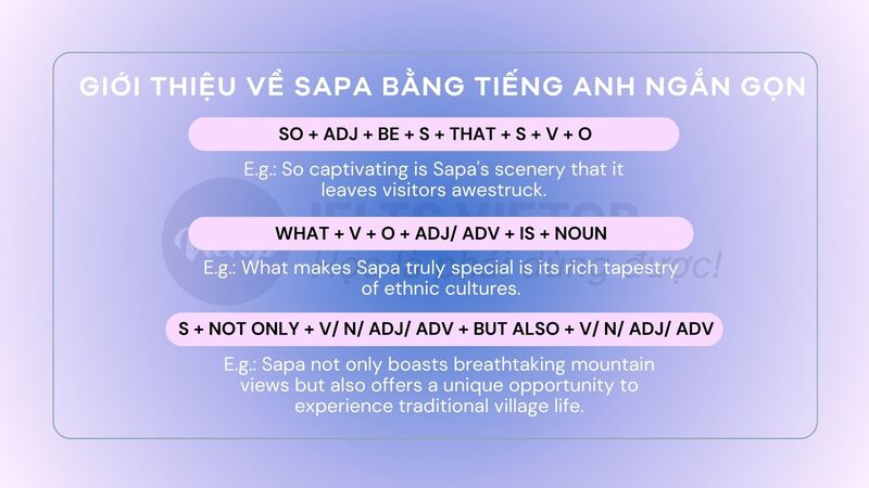 Cấu trúc giới thiệu Sapa bằng J88DL Trang chính thức J88 hỗ Chí Minh ngắn gọn