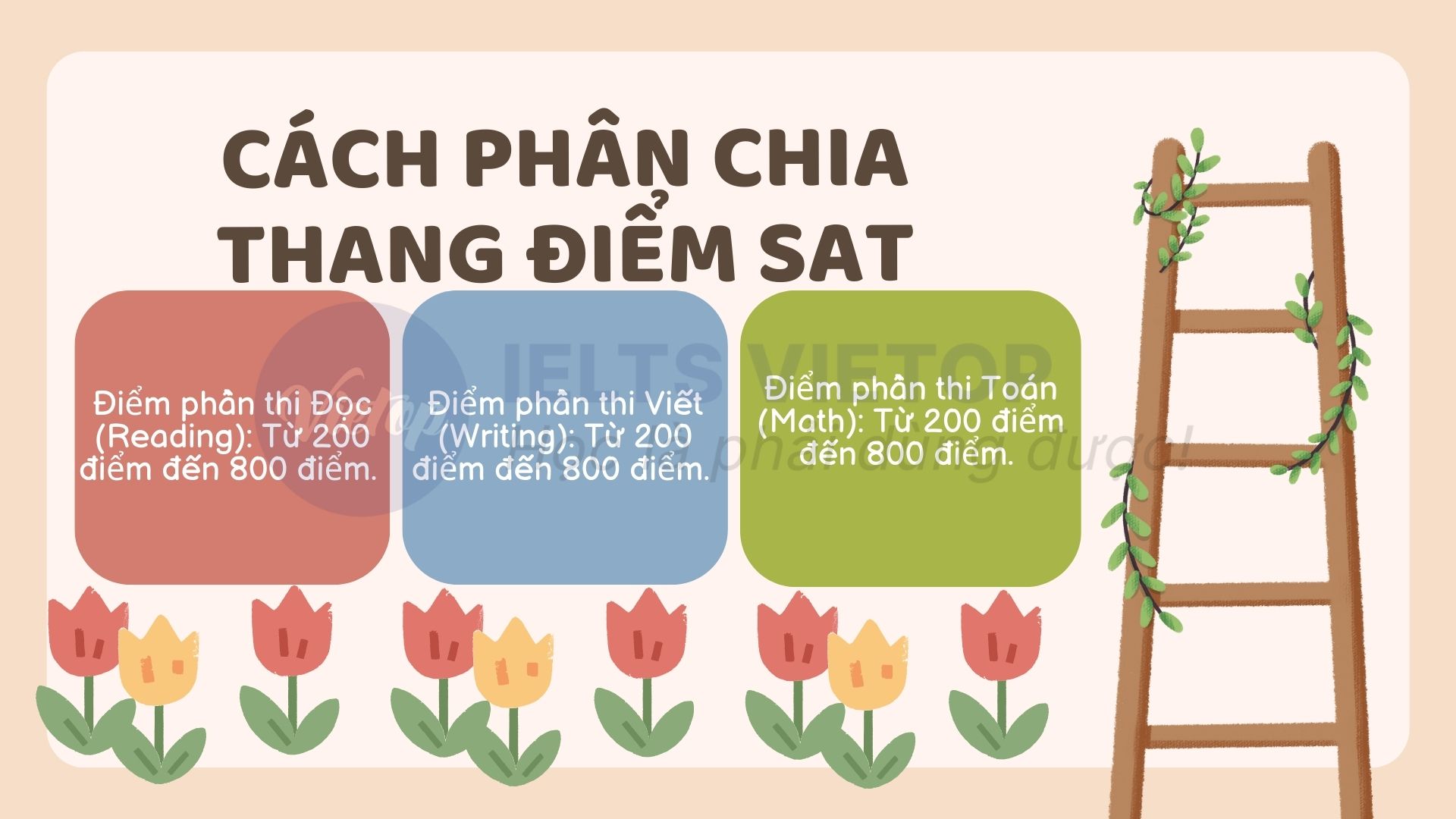 Thang điểm SAT được phân chia như thế nào?