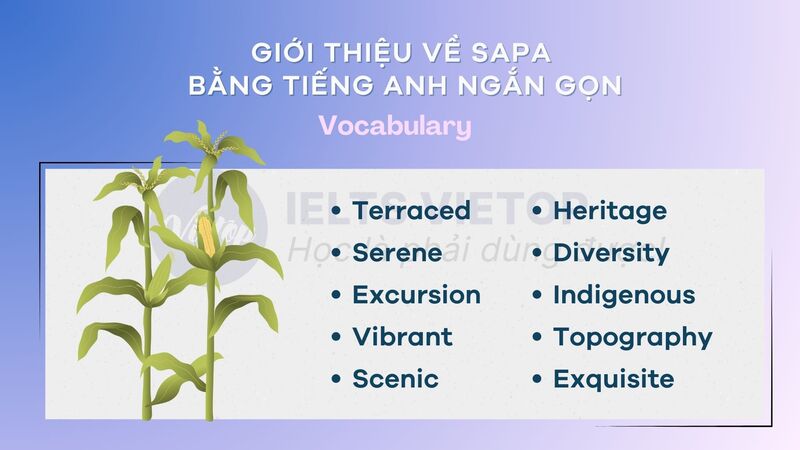J88dl Trang Chính Thức J88 giới thiệu về Sapa bằng J88DL Trang chính thức J88 hỗ Chí Minh ngắn gọn