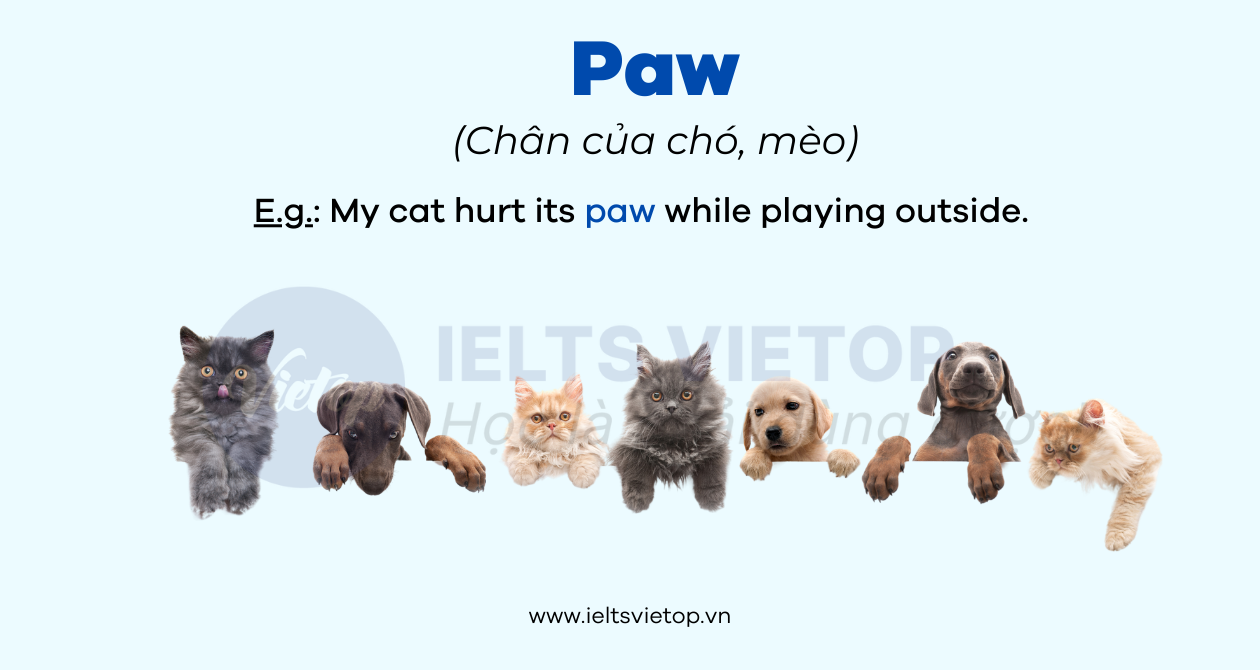 J88dl Trang Chính Thức J88 chuyên ngành thú y