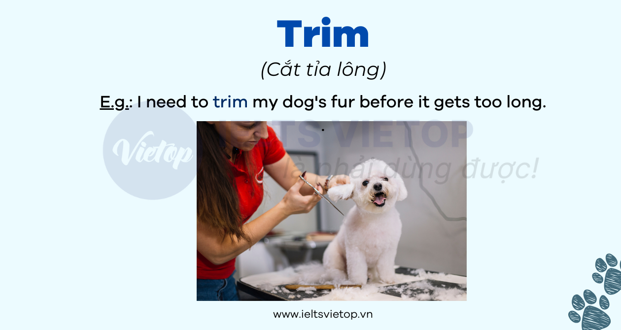 J88dl Trang Chính Thức J88 chuyên ngành thú y