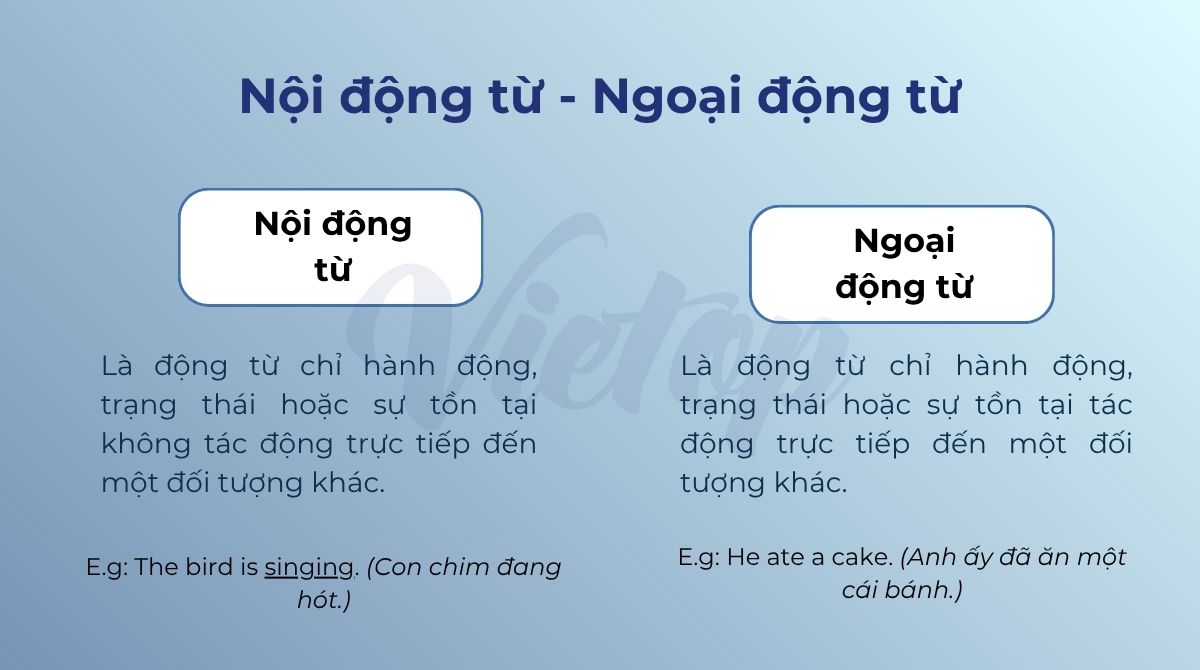 Nội động từ – Ngoại động từ