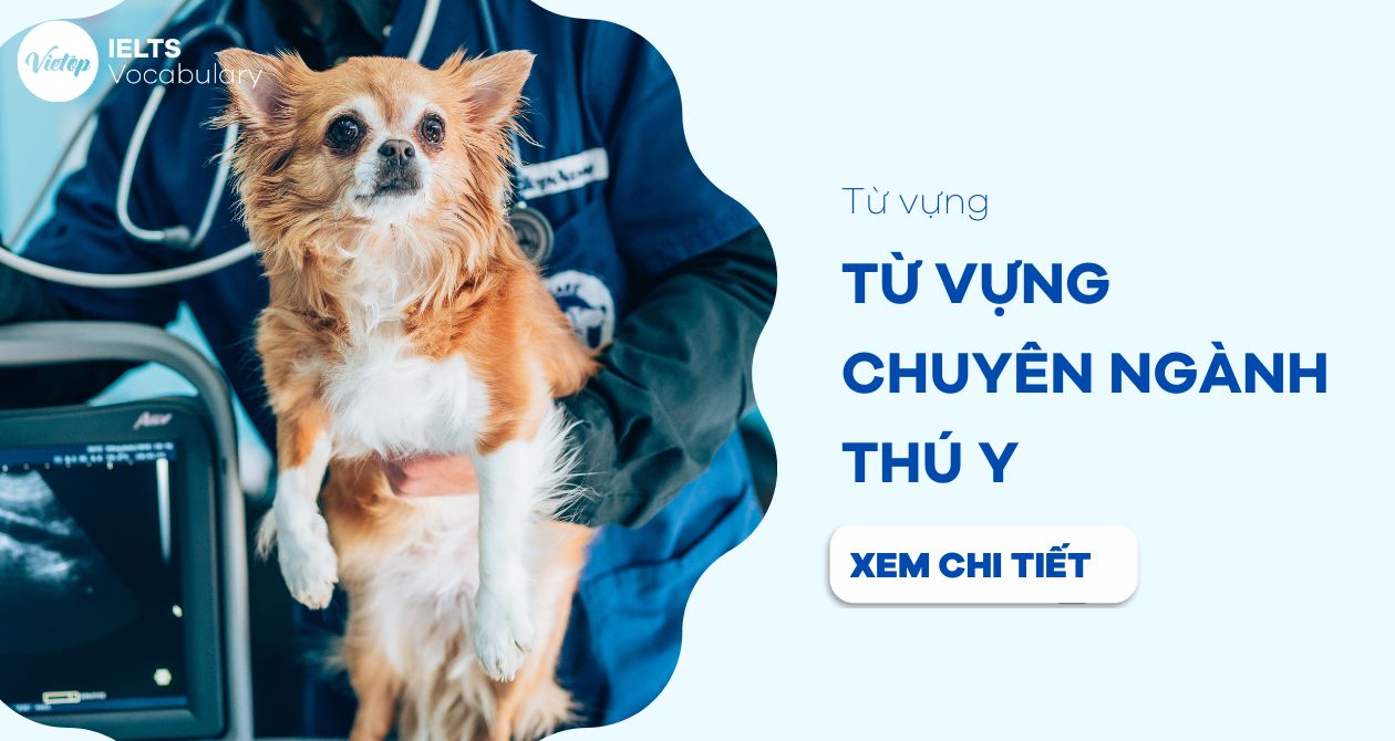 J88dl Trang Chính Thức J88 chuyên ngành thú y