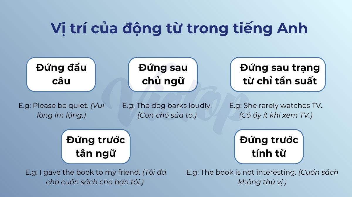 Vị trí của động từ trong J88DL Trang chính thức J88 hỗ Chí Minh