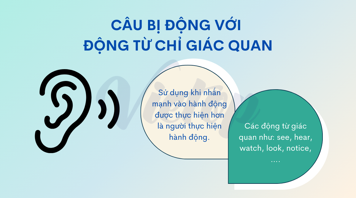 Câu bị động với động từ chỉ giác quan là gì?