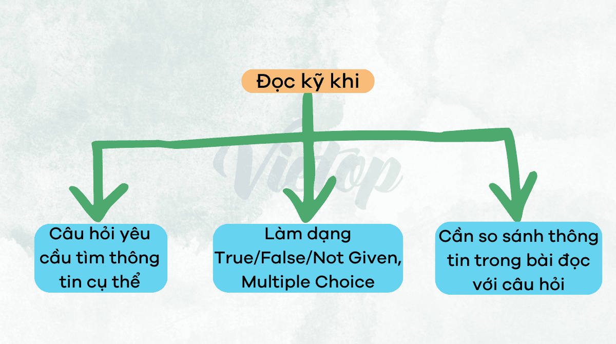 Những trường hợp bạn cần đọc kỹ trong IELTS Reading