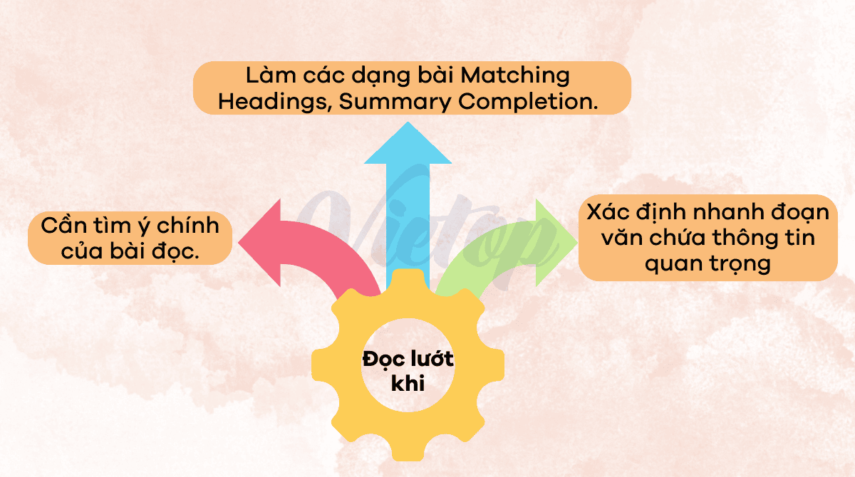 Những trường hợp bạn cần đọc lướt trong IELTS Reading