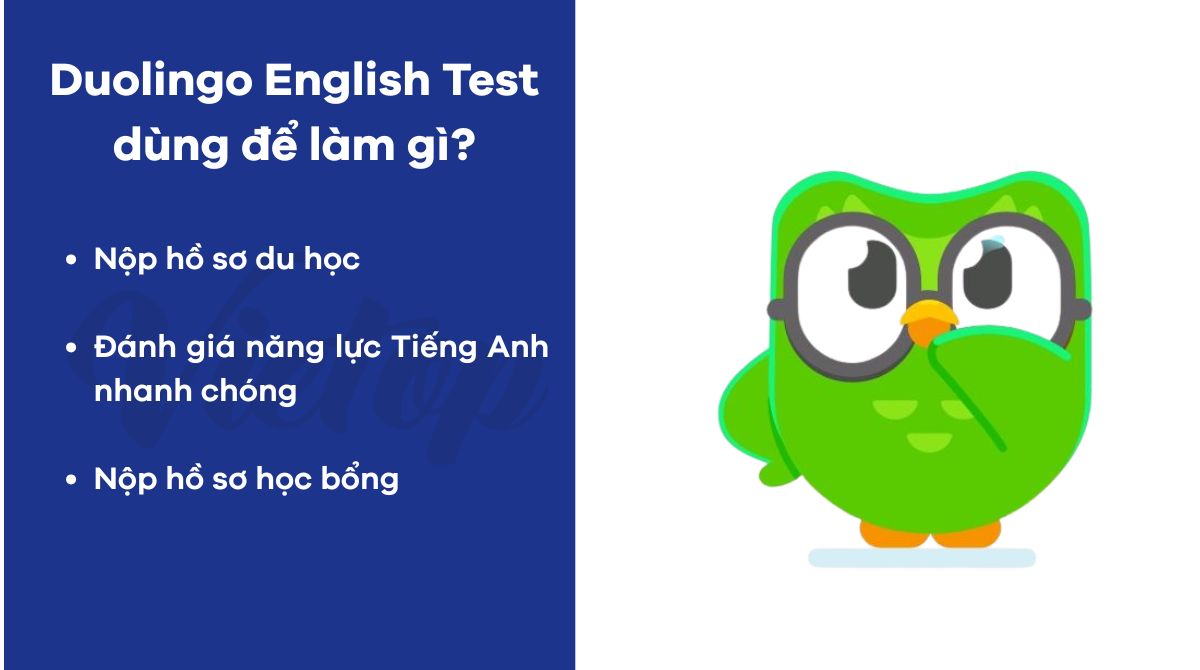 Duolingo English Test dùng để làm gì?